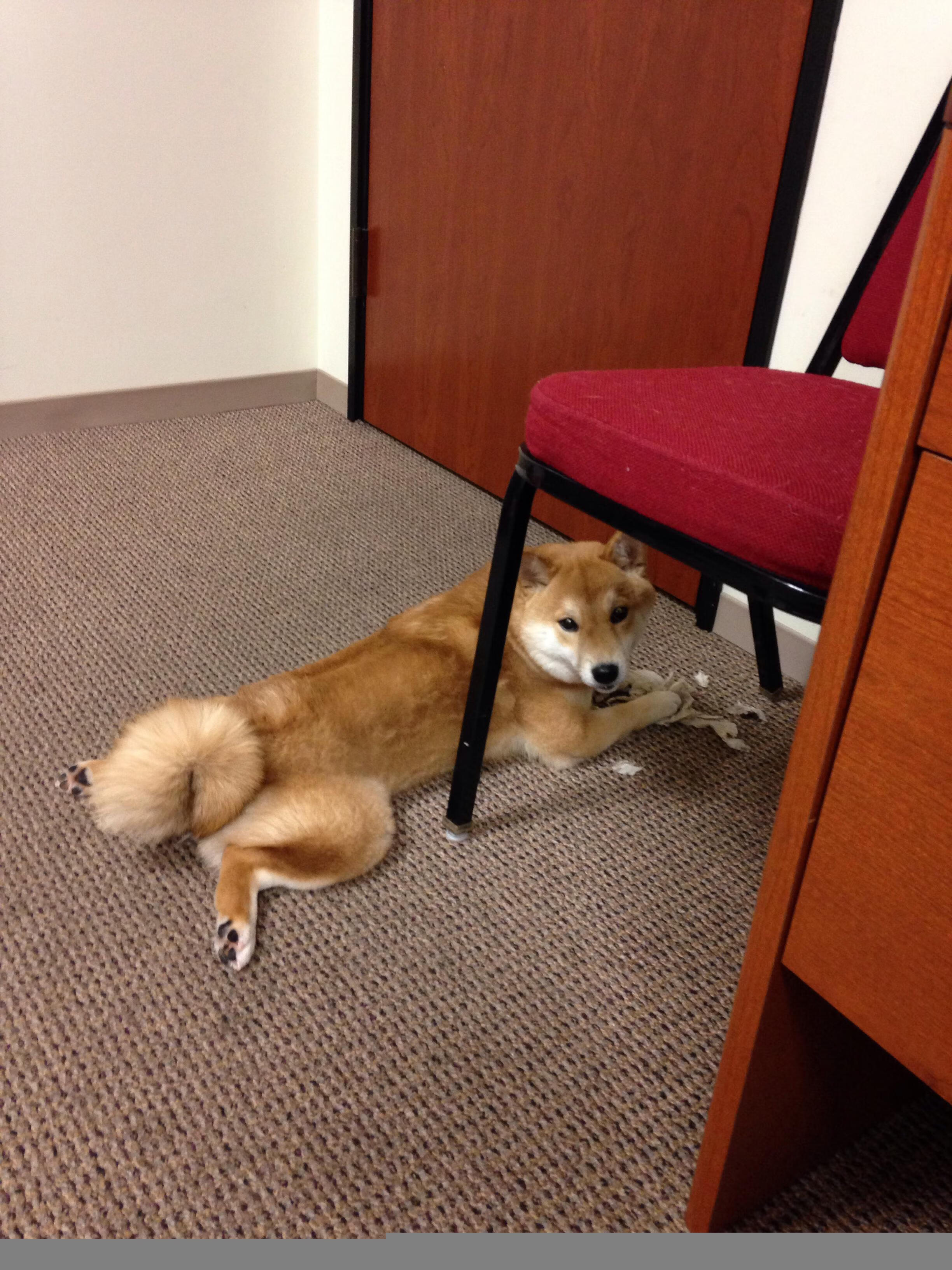 冰血时刻—莫兰特季后赛关键回合绝命逻辑