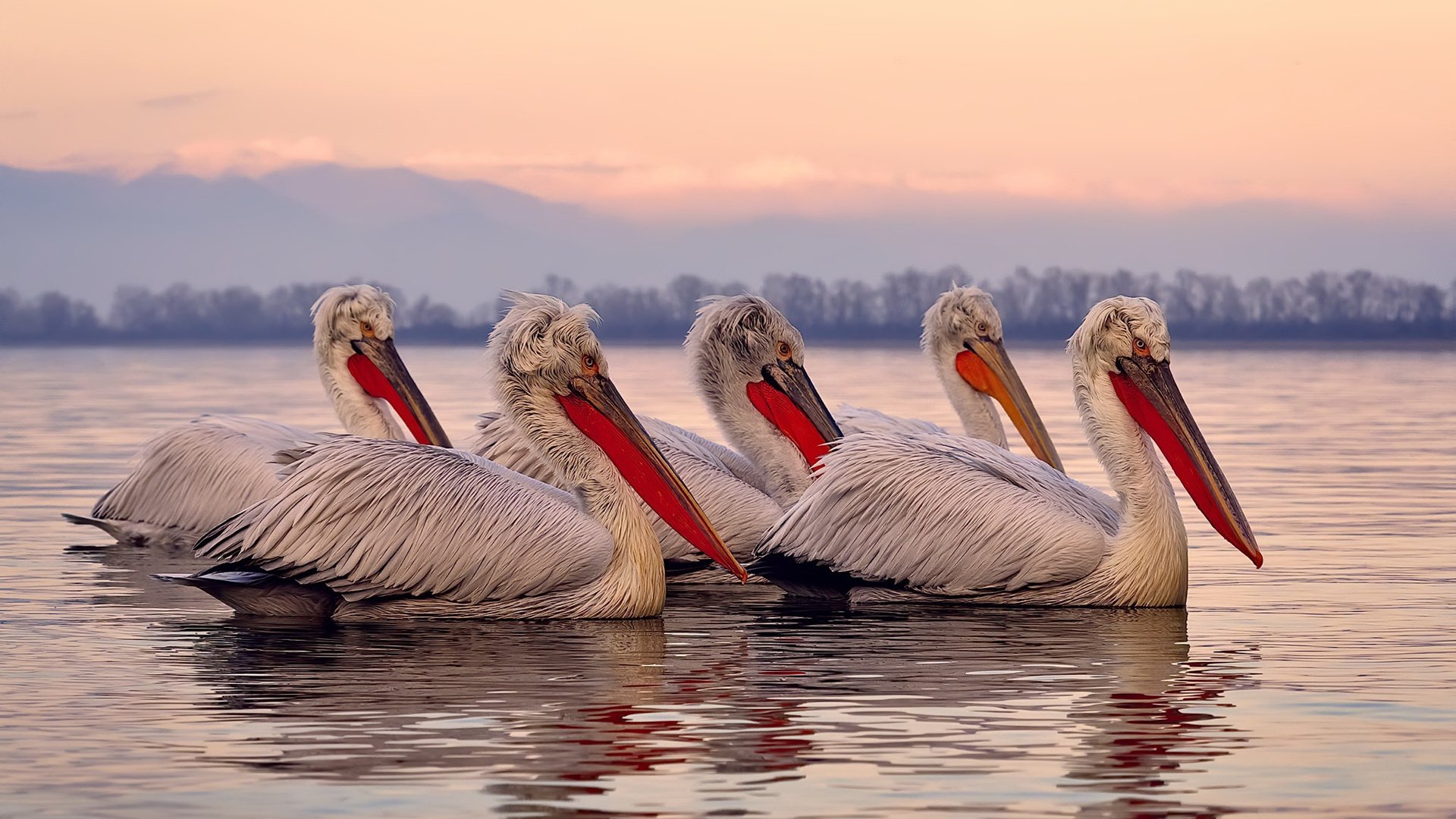 范弗利特时间，当火箭燃料遇见中国速度