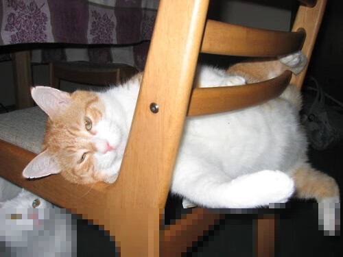 神翼之谜，卡瓦哈尔导演瑞士奇袭，曼城黄金时代突遇冰川期