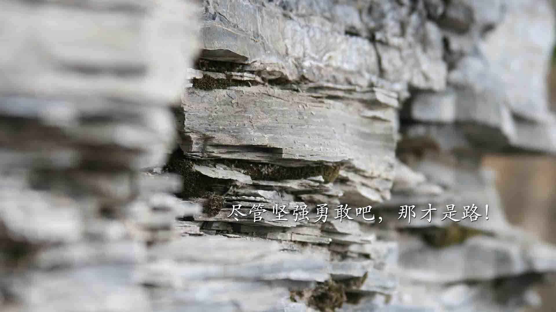 巨星光环的喧嚣与静默浪潮,詹姆斯的关键艺术,猛龙团队齿轮的连续绞杀