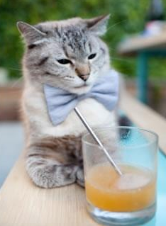 群山之巅与一己之力，两种决胜时刻的不同启示