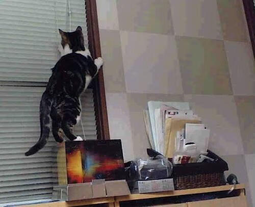 圣西罗的启示，当哥斯达黎加的溪流冲垮拉齐奥的巨石