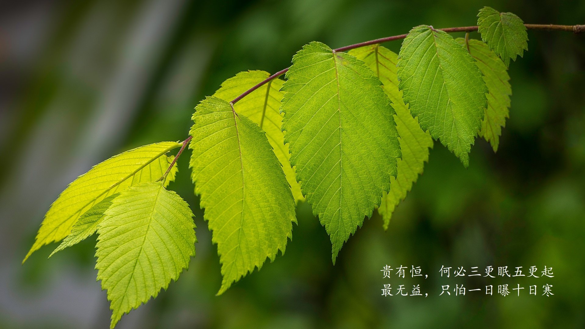首先,让我们扩展思维,创作一个能抓住这个精髓的文章标题